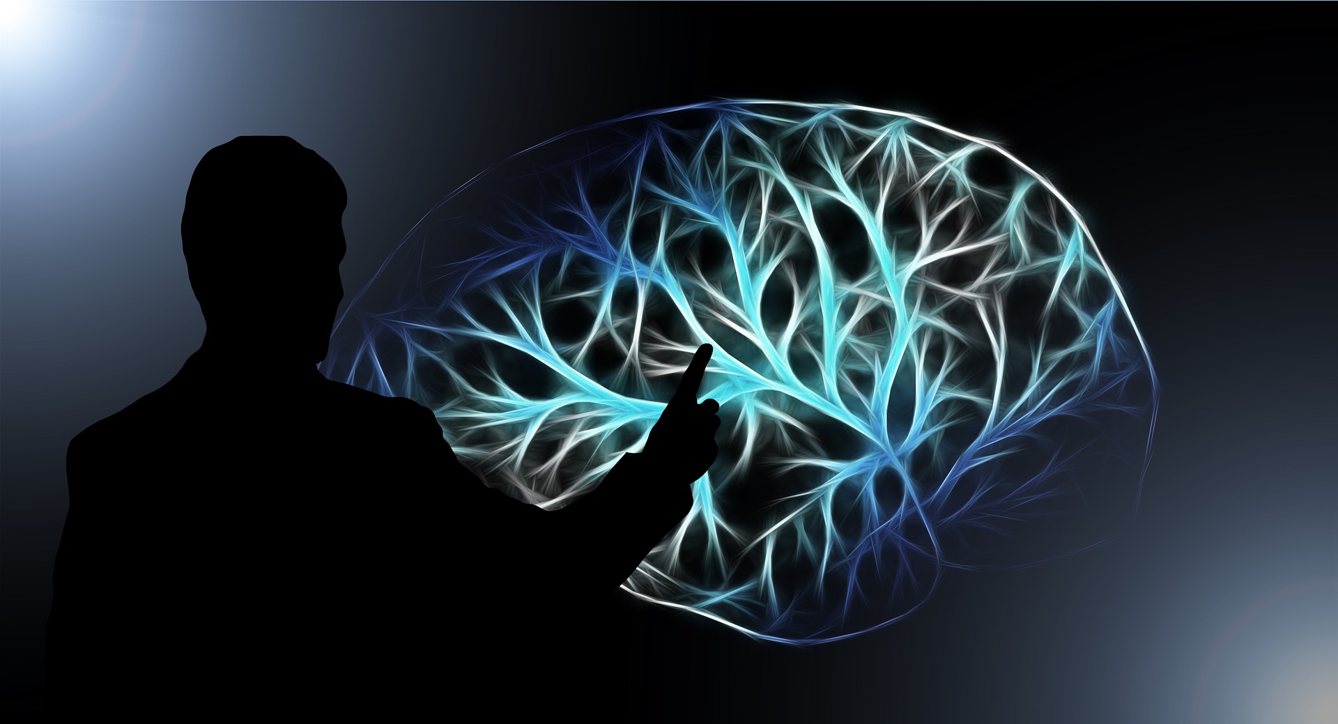  Cerebro e inteligencia